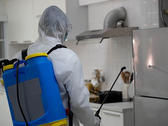 Factors to Consider When Choosing the Right Commercial Pest Control Service
