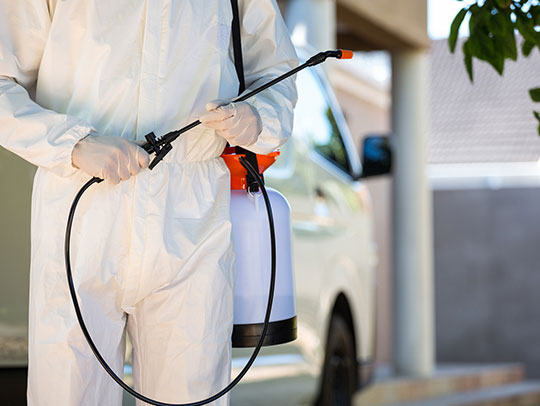 Preventing Pests in the Workplace: Best Practices for Business Owners