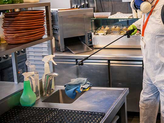 Restaurants and Pest Control: Maintaining Hygiene and Compliance